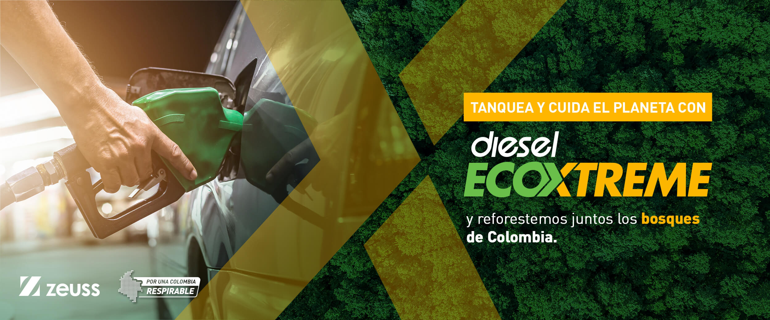 Banner-Principal (1)